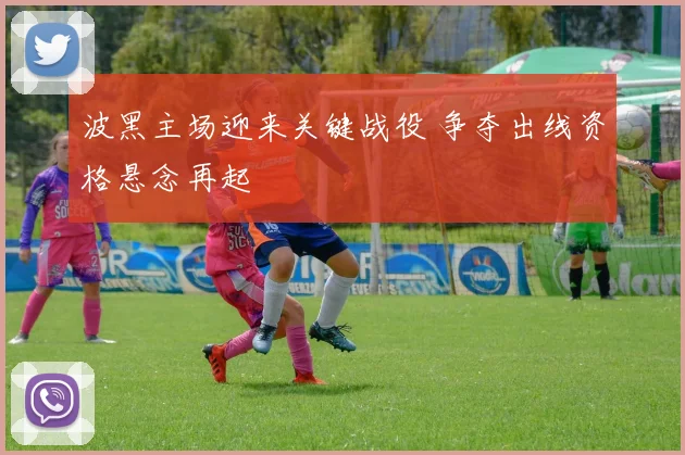 波黑主场迎来关键战役 争夺出线资格悬念再起