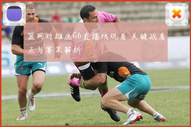 篮网对雄鹿G6直播线观看 关键战看点与赛果解析
