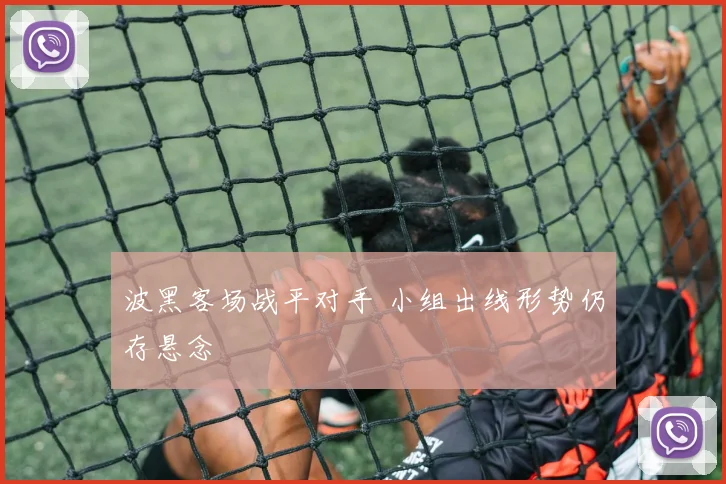 波黑客场战平对手 小组出线形势仍存悬念