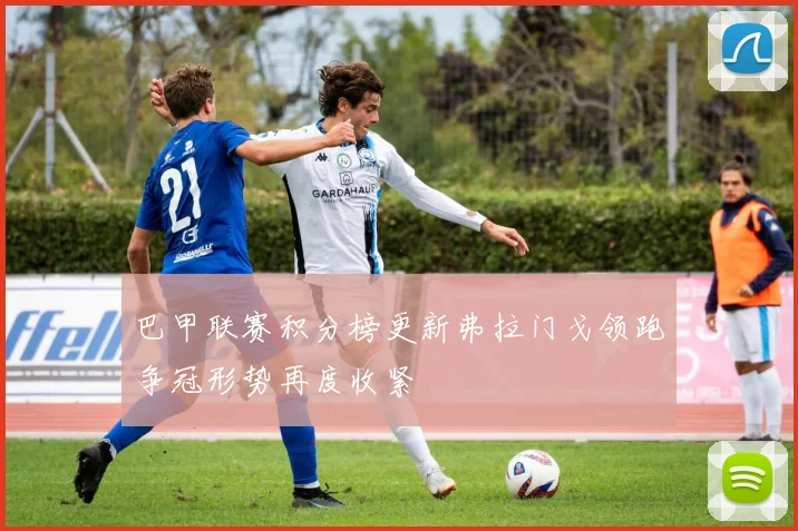 巴甲联赛积分榜更新弗拉门戈领跑争冠形势再度收紧