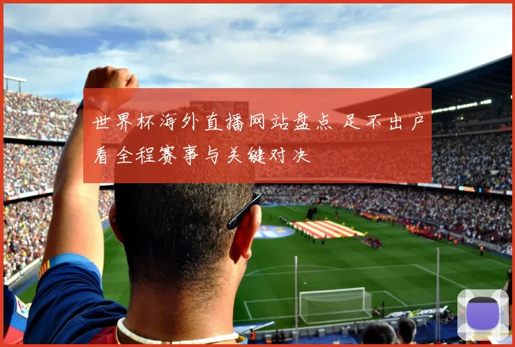 世界杯海外直播网站盘点 足不出户看全程赛事与关键对决