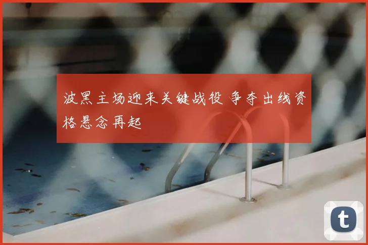 波黑主场迎来关键战役 争夺出线资格悬念再起